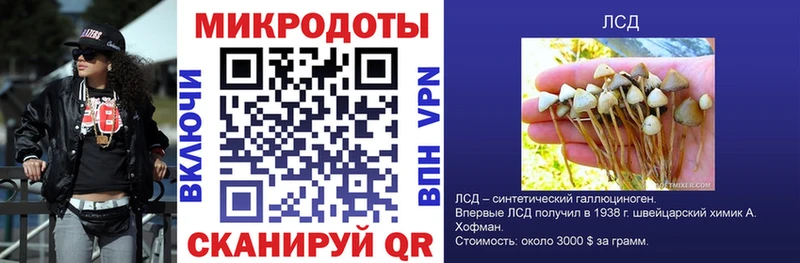 Купить закладки  Новохопёрск  Галлюциногенные грибы Psilocybine cubensis 